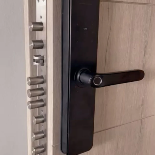 puerta seguridad